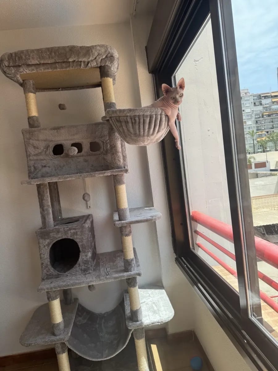 Foto da avaliação Carlos 1