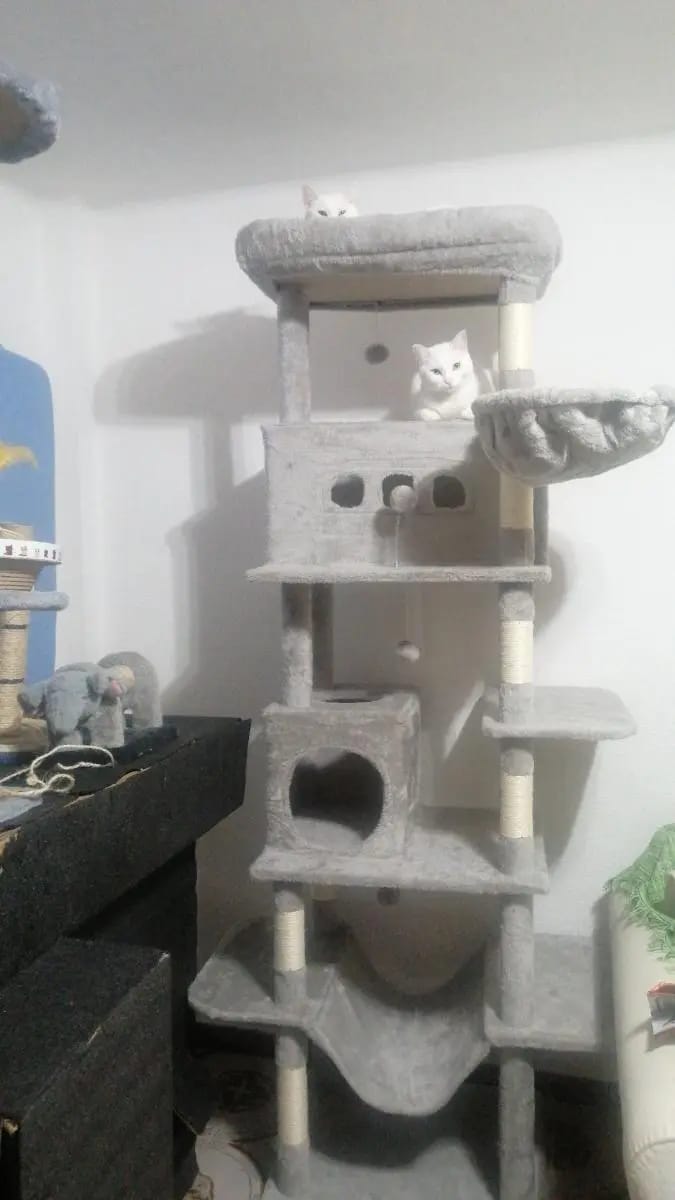 Foto da avaliação Carlos 1