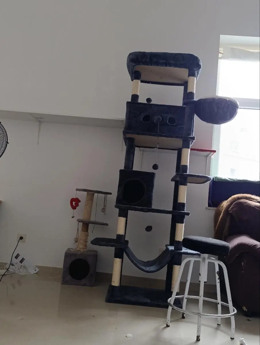 Foto da avaliação Carlos 1