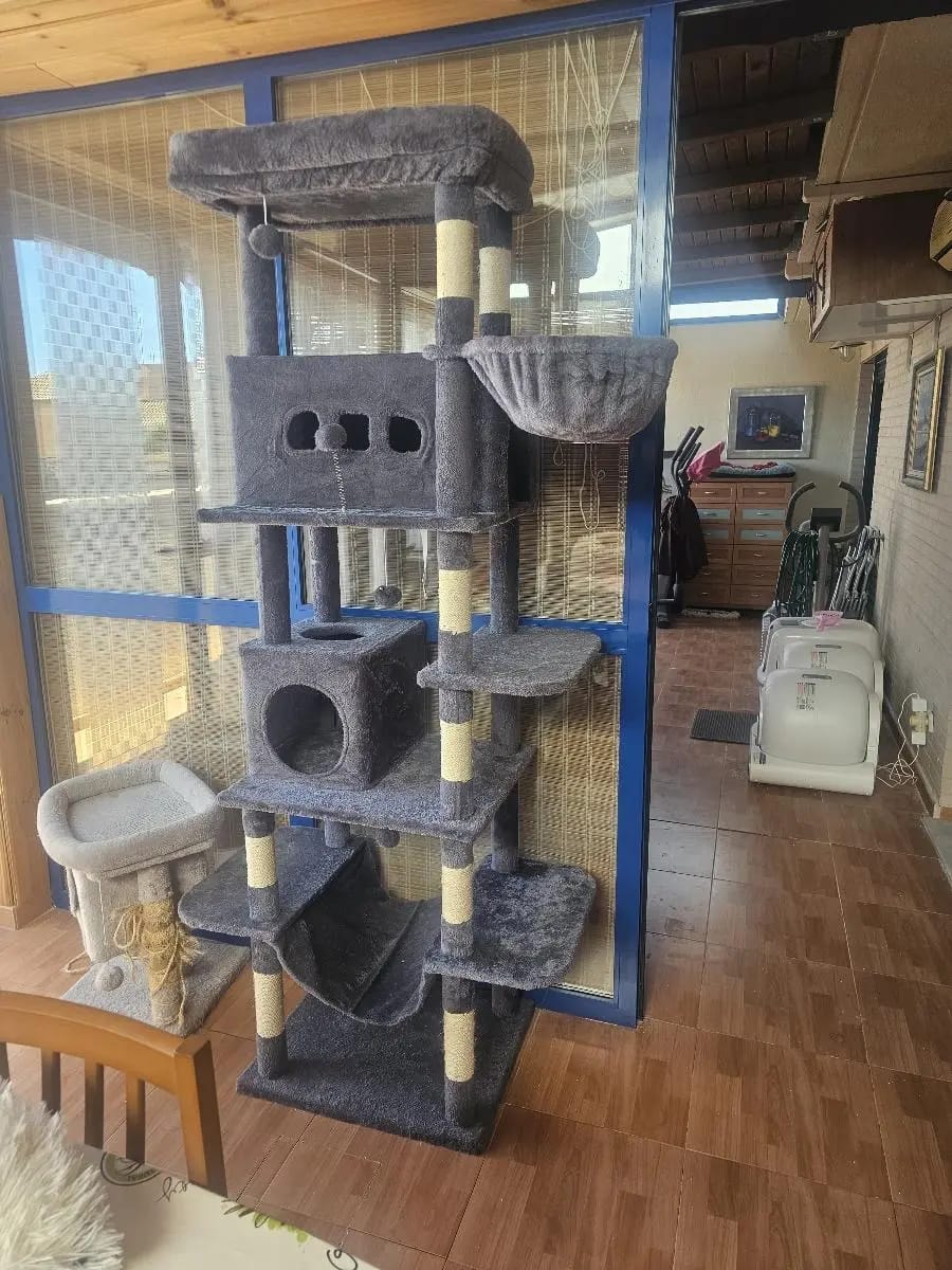 Foto da avaliação Carlos 1