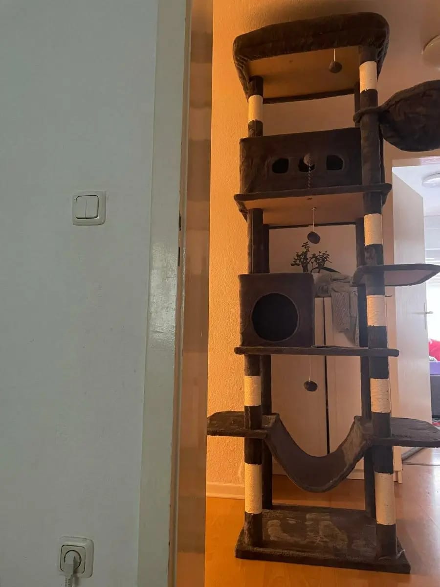 Foto da avaliação Carlos 1